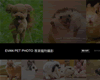 EVAN PET PHOTO 專業寵物攝